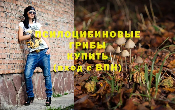 2c-b Алзамай