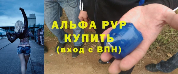 PSILOCYBIN Ростов