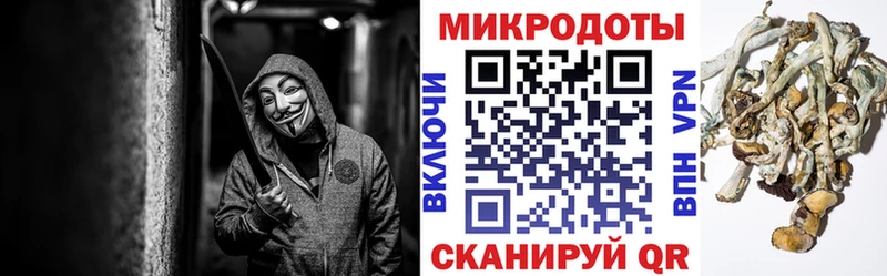 kraken зеркало  хочу наркоту  Белоусово  Галлюциногенные грибы Magic Shrooms 